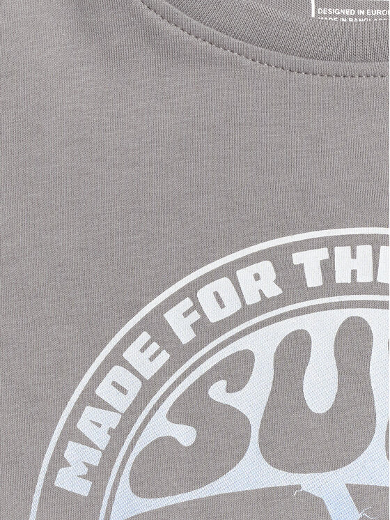 4F 4F T-Shirt WAVE RIDERS CLUB Szary Loose Fit