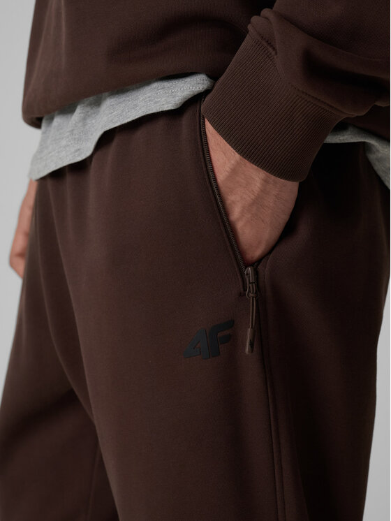 4F 4F Spodnie dresowe BASIC+ Brązowy Regular Fit