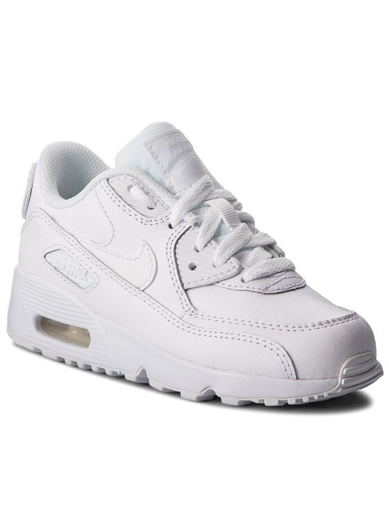 Air max hot sale 90 ltr ps
