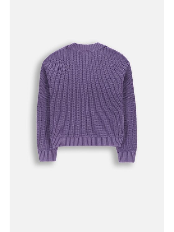 Coccodrillo Coccodrillo Sweter WC6172206CSG-016 Fioletowy Regular Fit
