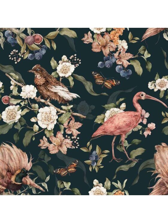 Tapeta Dekornik, Tropical Birds Paradise