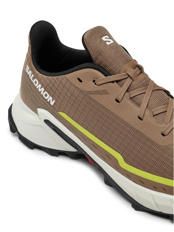 Salomon Salomon Tenisice za trčanje Alphacross 5 L47460100 Bež