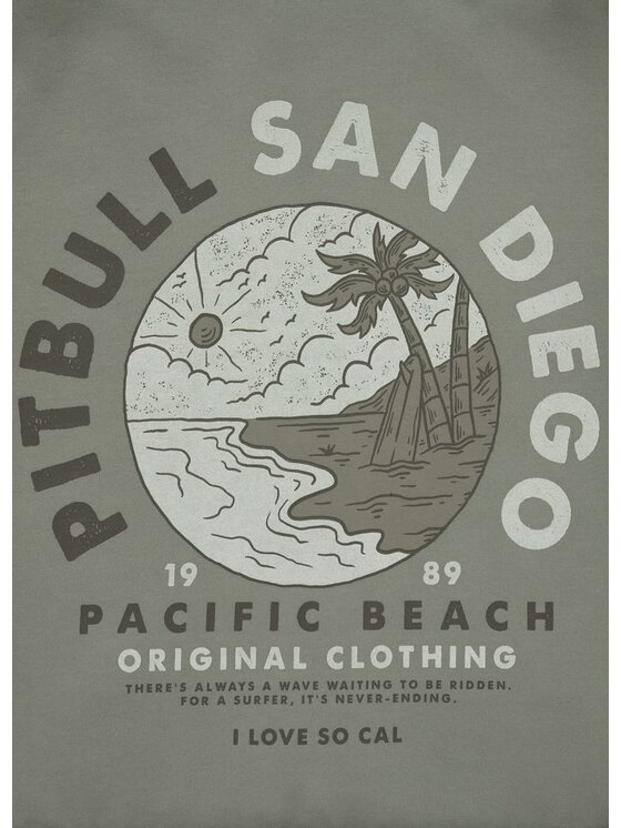PITBULL PITBULL Bluza PLANET SURF Szary Regular Fit