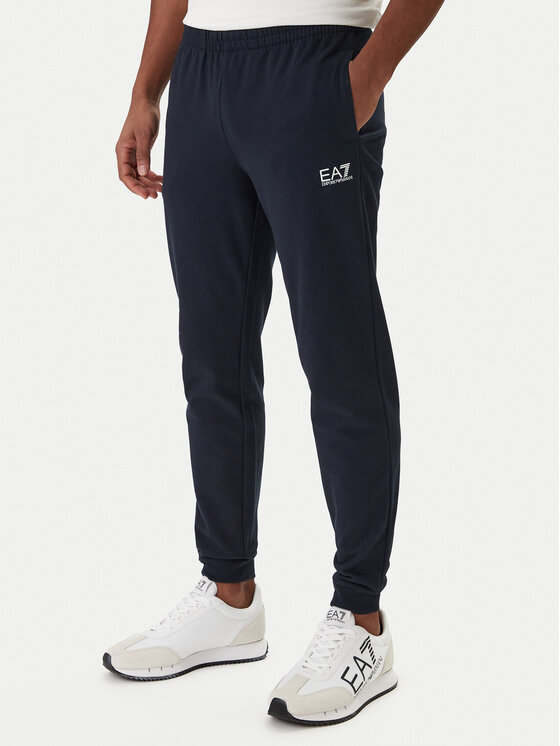 EA7 Emporio Armani EA7 Emporio Armani Sportinis kostiumas 8NPV60 PJVRZ Spalvota Regular Fit