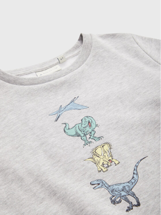 Tom Tailor Tom Tailor Majica dugih rukava 1033094 Siva Regular Fit