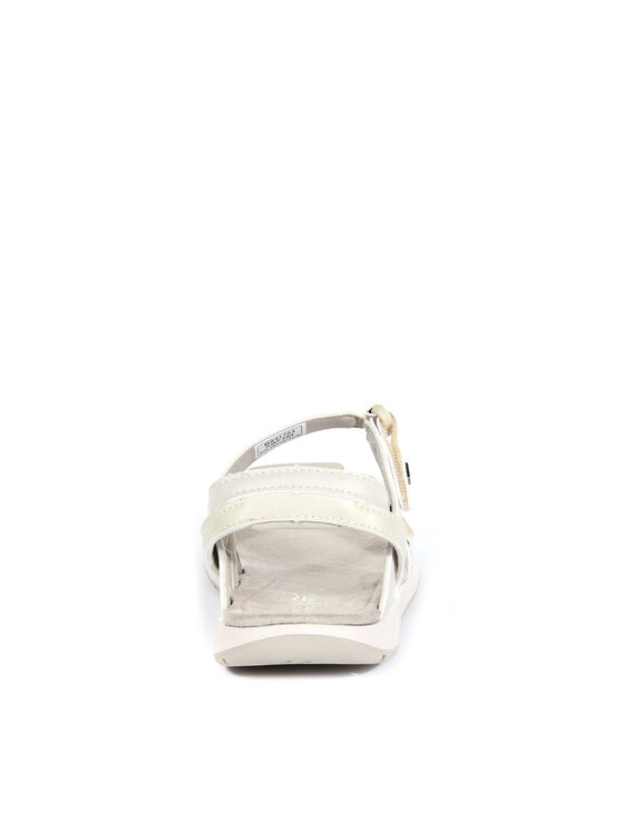 regatta lady santa cruz