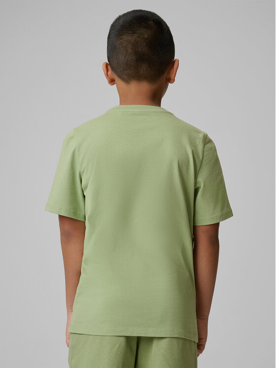 4F 4F T-Shirt BASIC+ Turkusowy Regular Fit