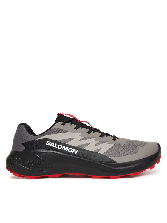 Salomon Buty do biegania Alphaglide L48000800 Szary
