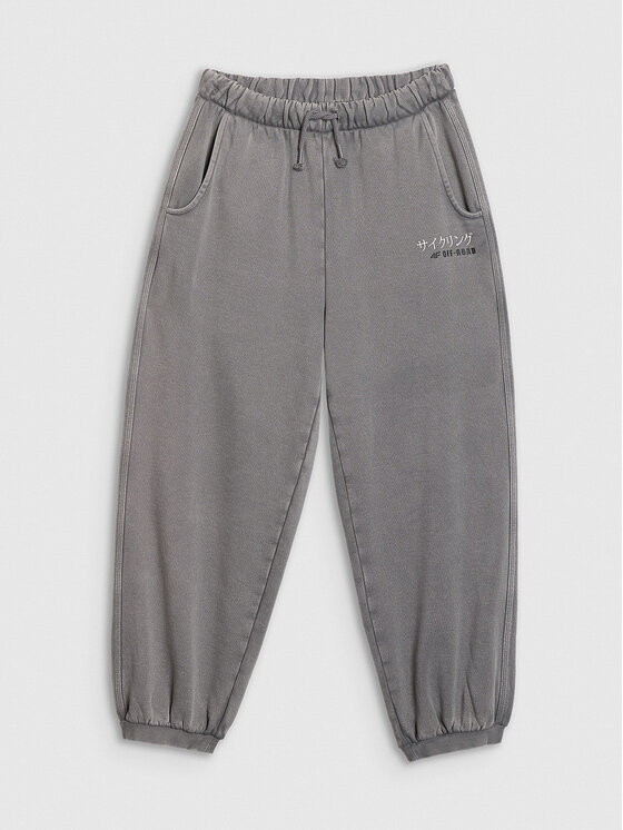 4F 4F Spodnie dresowe CITY LINES Szary Oversize