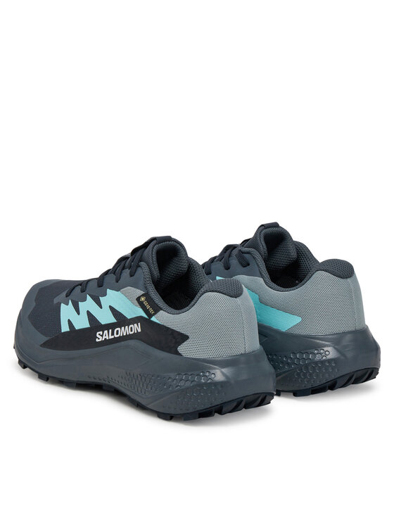 Salomon Salomon Buty do biegania Alphaglide Gore-Tex L47802500 Szary