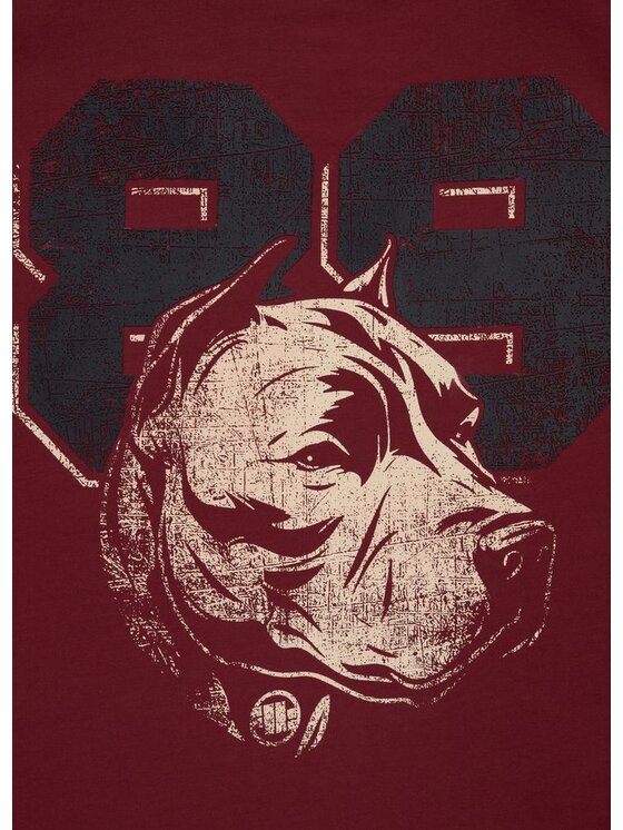 PITBULL PITBULL T-Shirt Koszulka Bordowy Regular Fit