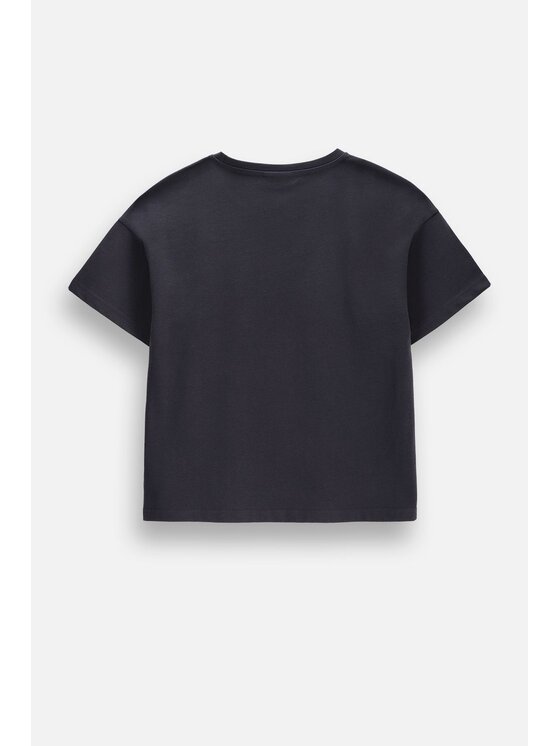 Coccodrillo Coccodrillo T-Shirt ZC6143201HGJ-020 Šedá Regular Fit
