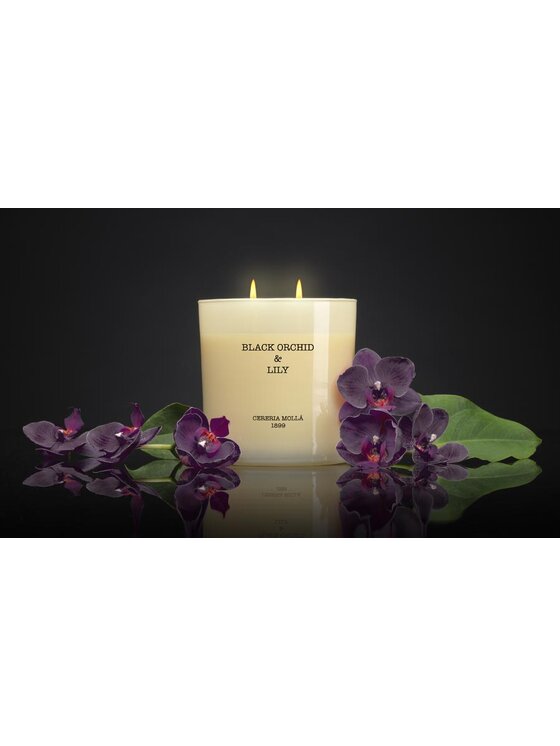 Cereria Molla Cereria Molla Świeca Cereria Molla Boutique Beżowy