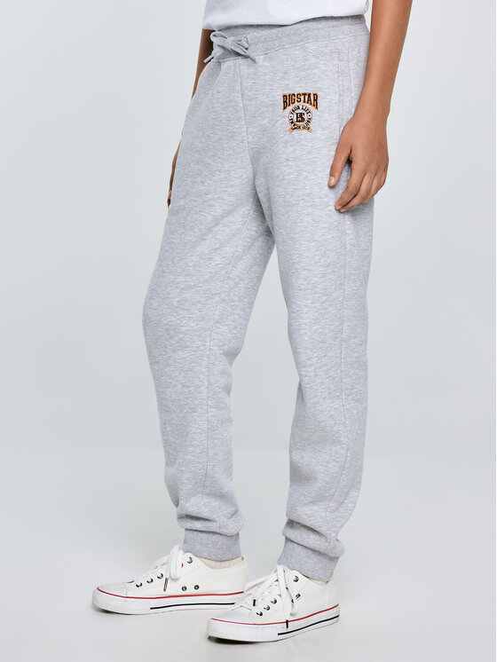 BIG STAR BIG STAR Spodnie dresowe LIRONP Szary Basic Fit