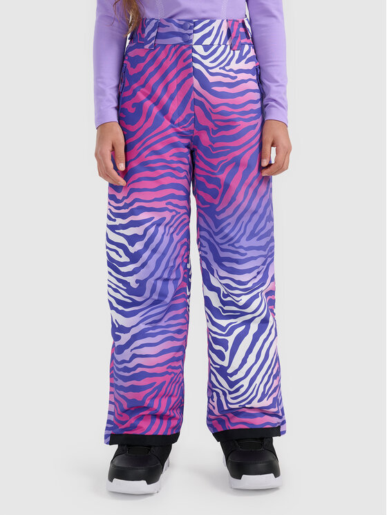 4F 4F Spodnie snowboardowe SNOWBOARD Kolorowy Regular Fit