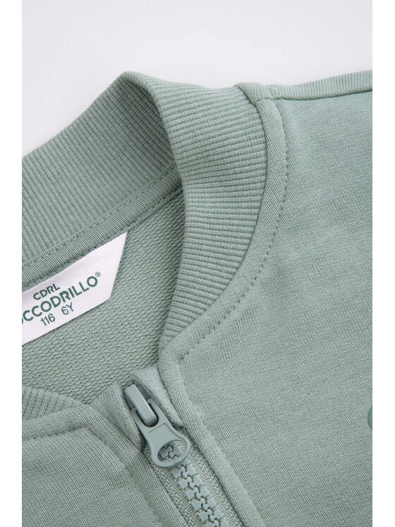 Coccodrillo Coccodrillo Bluza WC6132201NBK-011 Zielony Regular Fit