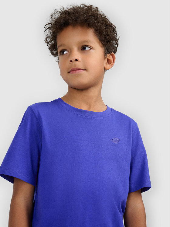4F 4F T-Shirt BASIC+ Niebieski Regular Fit