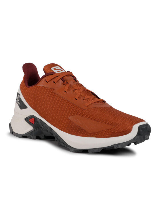 Salomon Salomon Bėgimo batai Alphacross Blast 411035 28 W0 Ruda