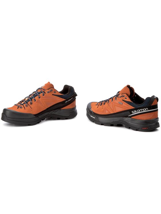 Salomon alp sales ltr gtx