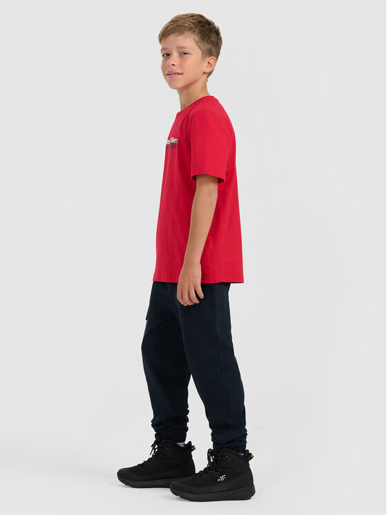 4F 4F Spodnie dresowe APRES SKI Granatowy Regular Fit