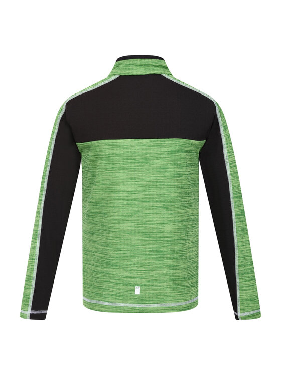 Regatta Regatta Polar Hewley Zielony Long Fit