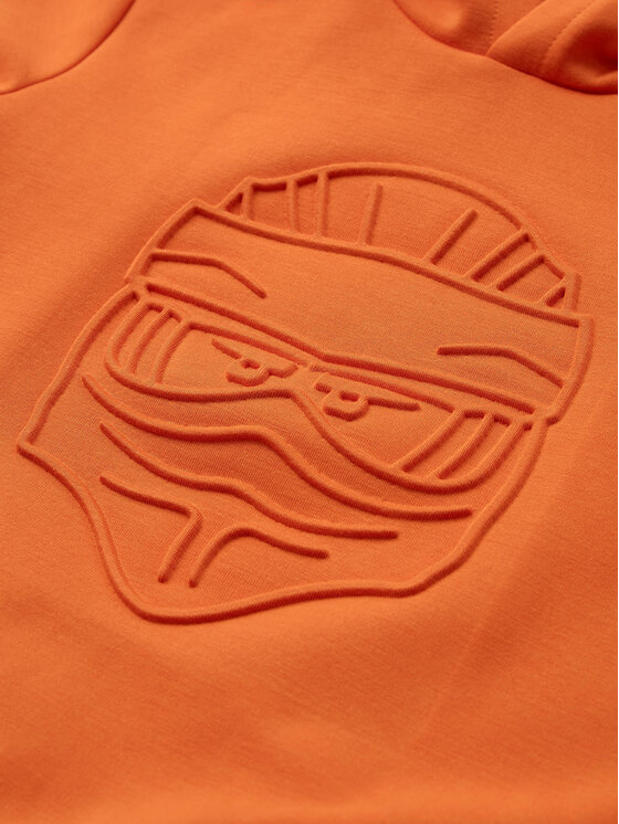 LEGO LEGO Sweatshirt 11010950 Orange Regular Fit