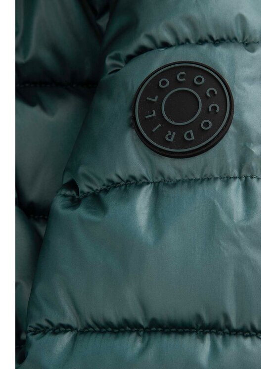 Coccodrillo Coccodrillo Zimní bunda ZC5152111OGJ-011 Zelená Regular Fit