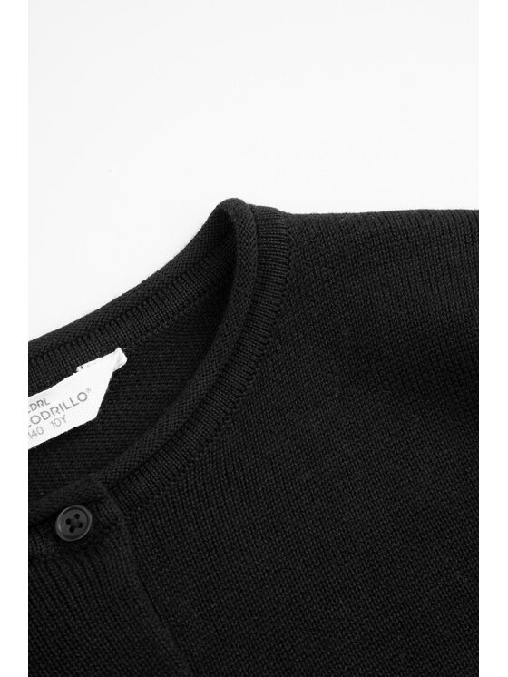 Coccodrillo Coccodrillo Sweter WC6172201BSG-021 Czarny Regular Fit