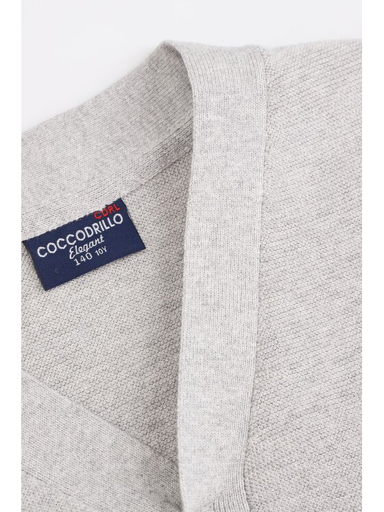 Coccodrillo Coccodrillo Sweter WC4172203BSB-019 Szary Regular Fit