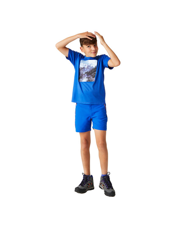 Regatta Regatta T-Shirt Alvardo VIII Błękitny Short Fit
