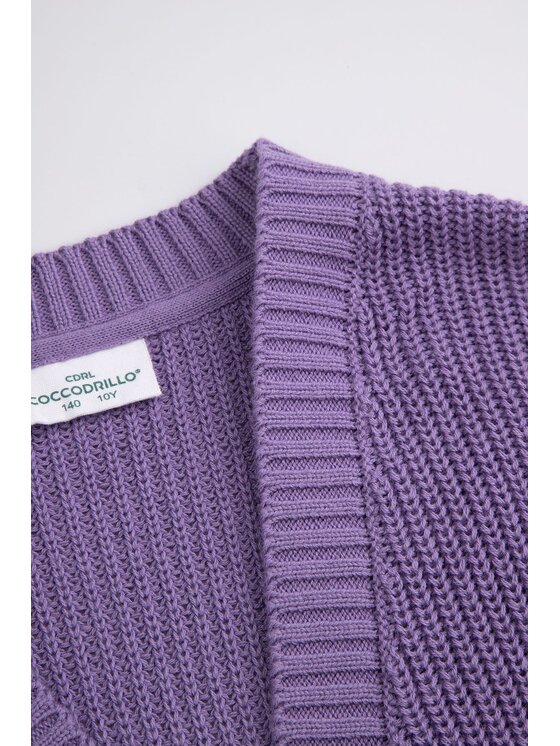 Coccodrillo Coccodrillo Sweter WC6172206CSG-016 Fioletowy Regular Fit