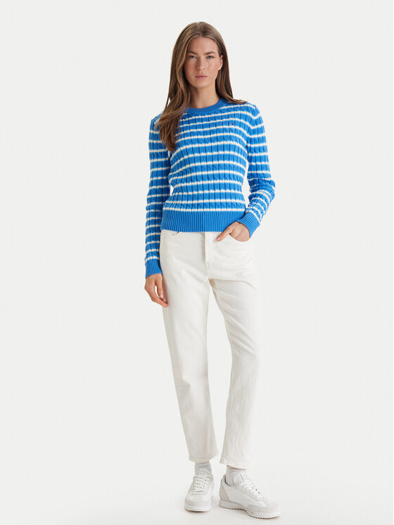 Tommy Hilfiger Tommy Hilfiger Pullover WW0WW47644 Blau Regular Fit