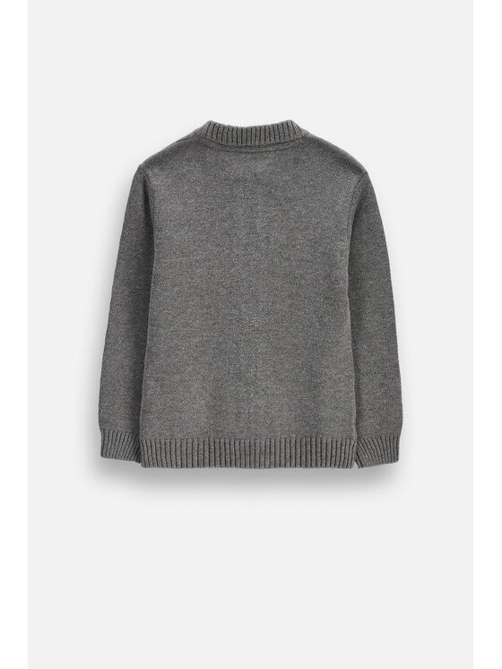 Coccodrillo Coccodrillo Sweter ZC6172201GBK-019 Szary Regular Fit