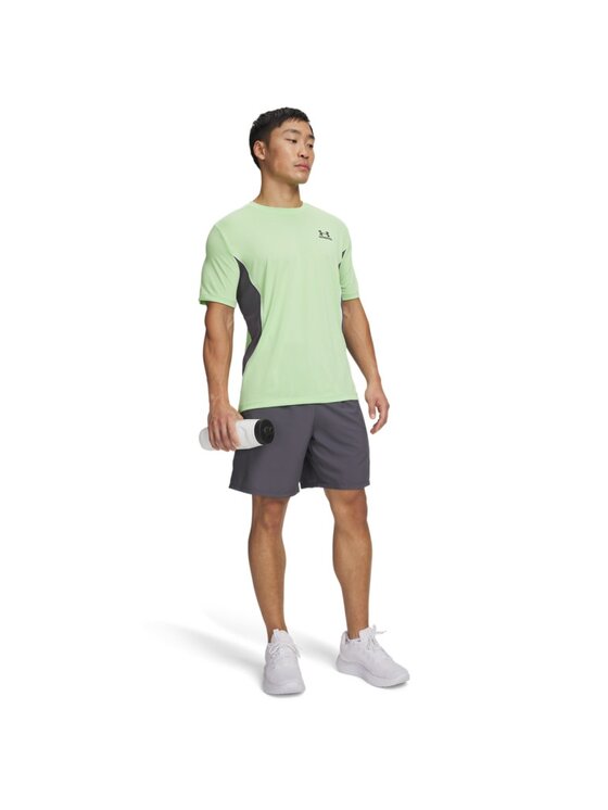 Under Armour Under Armour Szorty sportowe 6014639 Szary Regular Fit