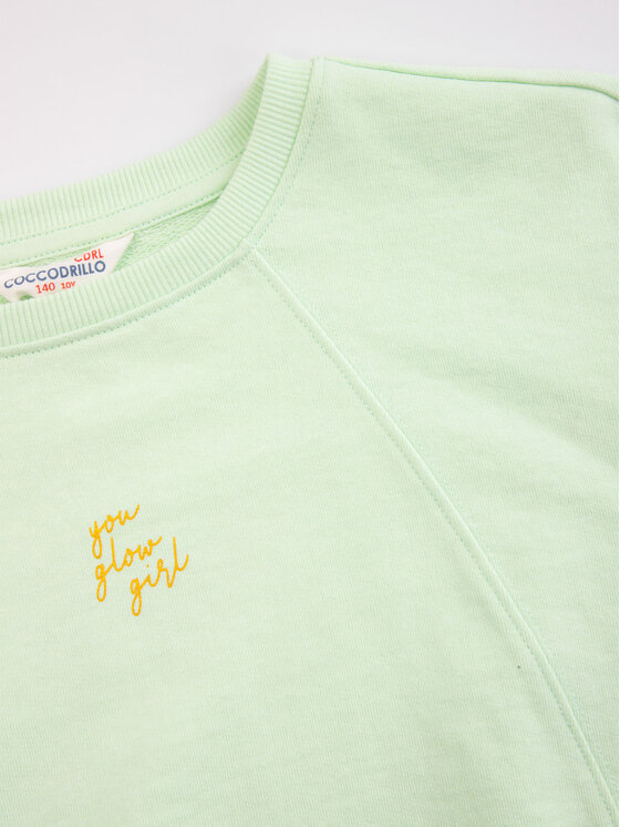Felpa WC3132102EVG Verde Regular Fit