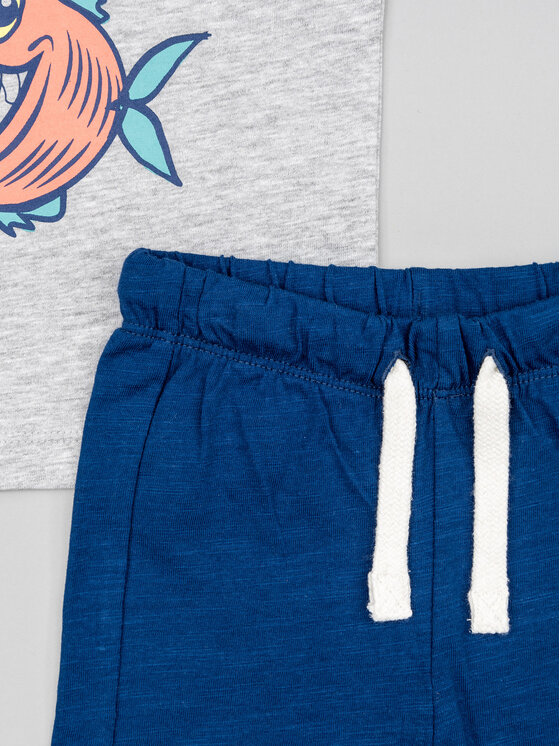 Zippy Zippy Set T-Shirt und Shorts ZBBAP0602 23007 Grau Regular Fit