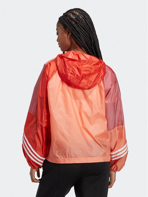 Adidas store izi rosa