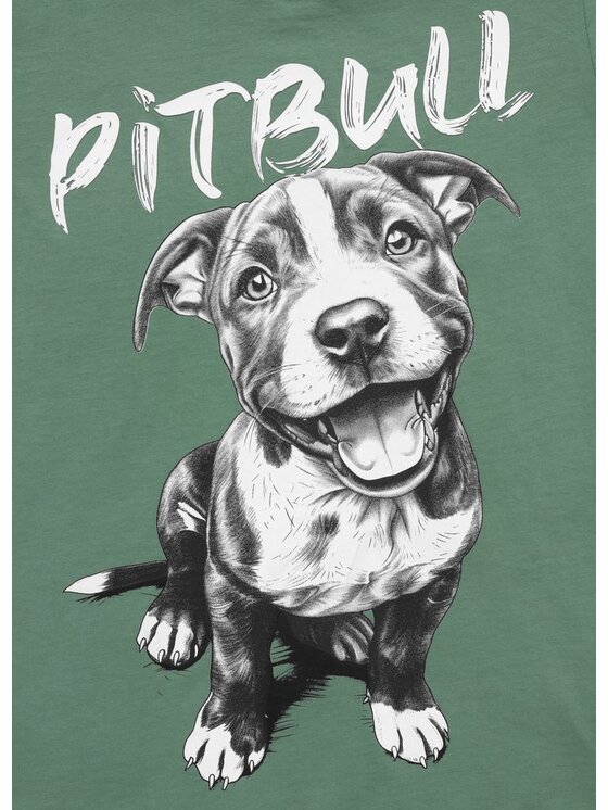 PITBULL PITBULL T-Shirt Koszulka damska PUPPY II XS Zielony Regular Fit