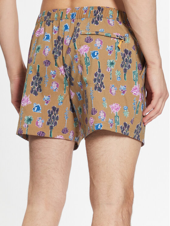 The North Face The North Face Sportshorts Class V NF0A5A5X Braun Regular Fit