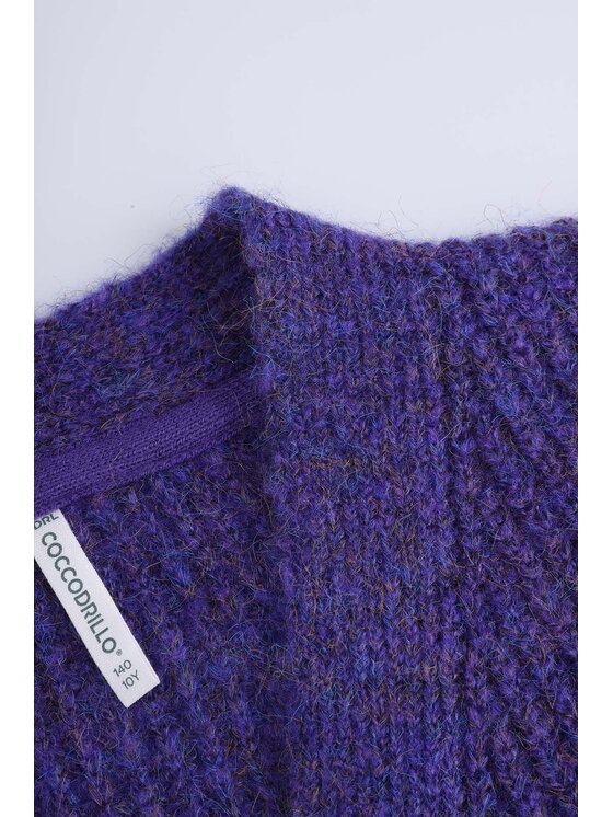 Coccodrillo Coccodrillo Sweter ZC4172201AGJ-016 Fioletowy Regular Fit
