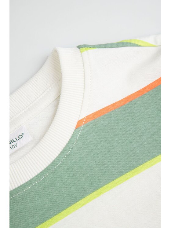 Coccodrillo Coccodrillo T-Shirt WC6143207TBJ-022 Kolorowy Regular Fit