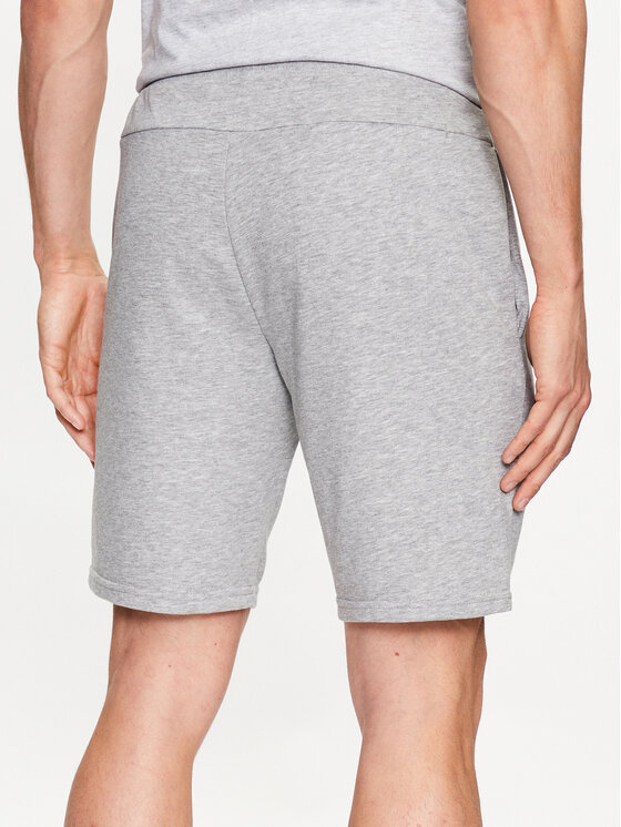 4F 4F Sportovní kraťasy 4FSS23TSHOM156 Šedá Regular Fit