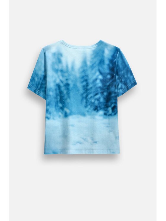 Coccodrillo Coccodrillo T-Shirt ZC6143202FGK-022 Kolorowy Regular Fit