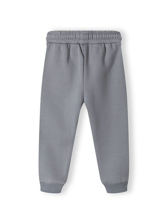 minoti minoti Spodnie dresowe 16fleece 27 Szary Regular Fit