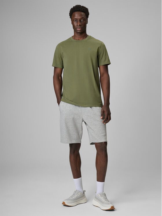 4F 4F Szorty sportowe BASIC+ Szary jasny Regular Fit
