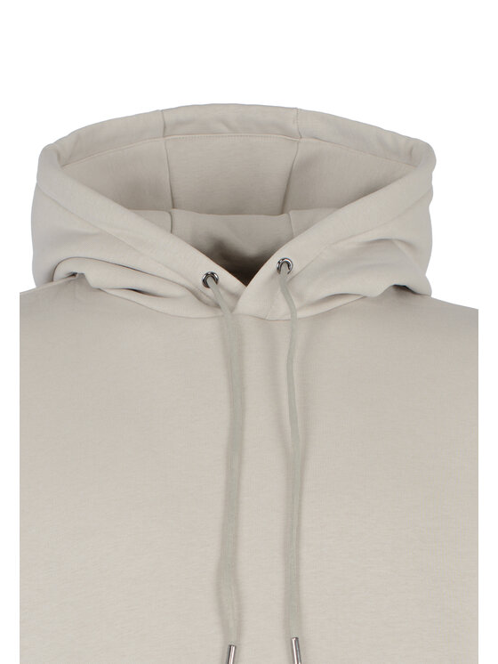 Colmar Colmar Felpa 8234R1WX06 Marrone Regular Fit