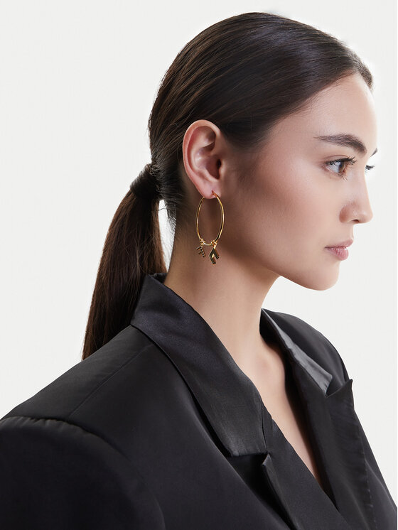 Elisabetta Franchi Elisabetta Franchi Kõrvarõngad OR-48A-51E2-V200 Kuldne