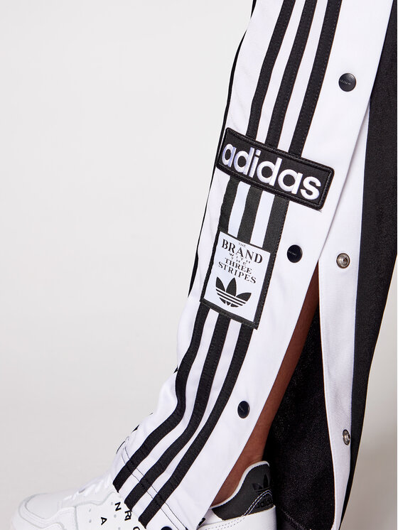 adidas adidas Dressipüksid adicolor Classics adibreak GN2807 Must Regular Fit