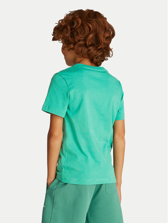 Calvin Klein Jeans Calvin Klein Jeans Majica Surf Graphic IB0IB02447 Zelena Regular Fit