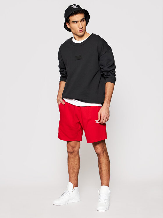 adidas R.Y.V. Silicone Double Linear Badge Crew GN3293 Regular Fit Modivo.ua